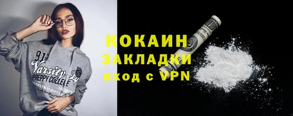 стаф Абинск