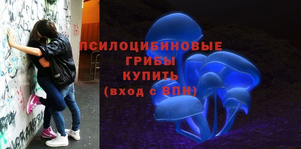 стаф Абинск