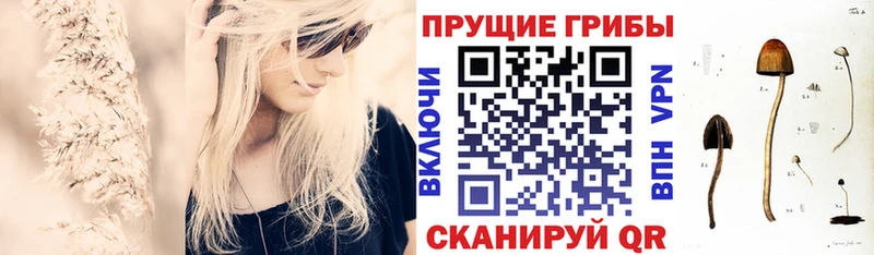 Галлюциногенные грибы Cubensis  Кашира 
